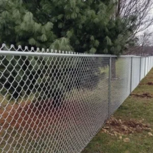 Galvanized Chain Link